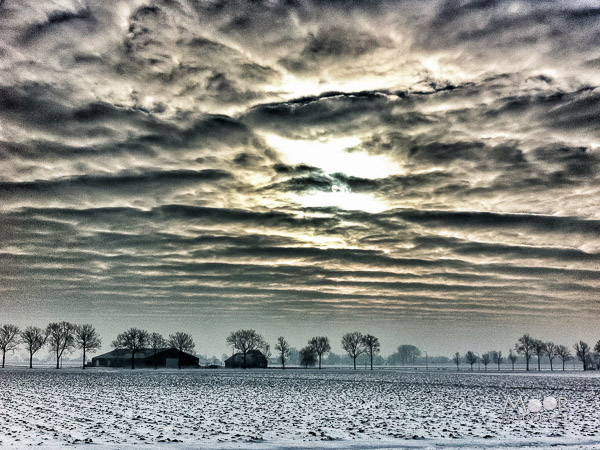 iPhonografie iPhone Foto Winter Wonderland Landschap Biesbosch