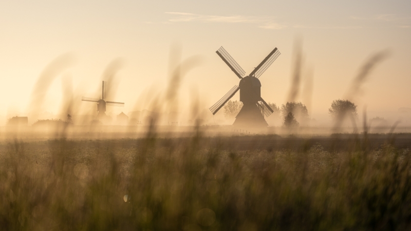 Het belang van een goede voorgrond Het belang van een goede voorgrond