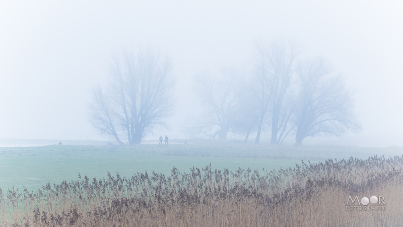 Kansen met mist