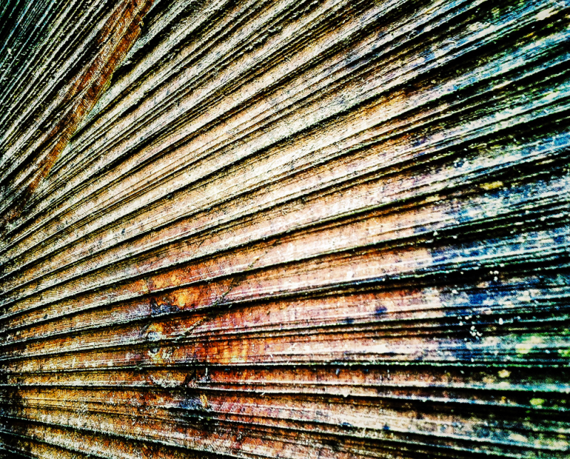 Abstract close-up van een boomschijf met een kleurrijke textuur, een creatieve kijk op lijnen en patronen