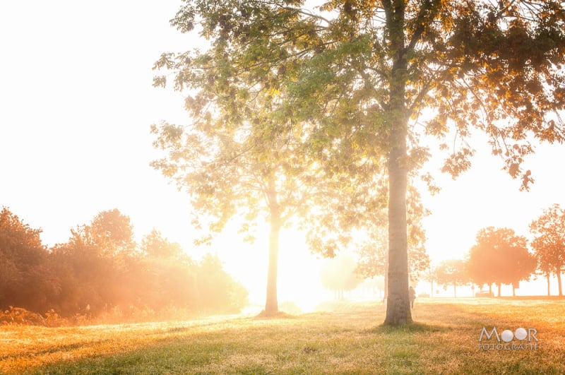 Onmisbare Eigenschappen voor Landschapsfotografie