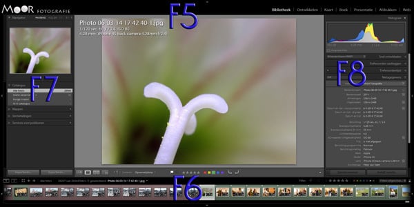 5 Handige Lightroom Tips voor Meer Werkruimte en Sneller Bewerken