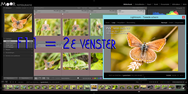 5 Handige Lightroom Tips voor Meer Werkruimte en Sneller Bewerken