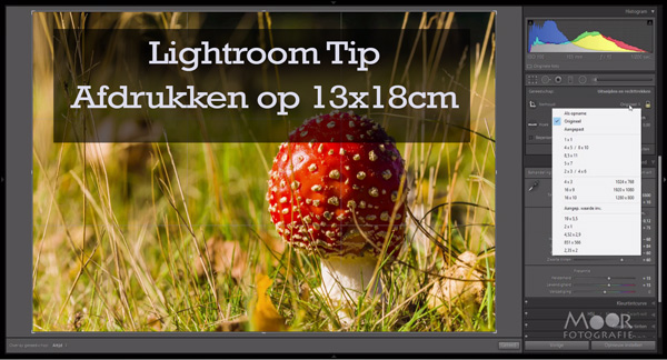 Lightroom Tip Afdrukken op 13x18cm