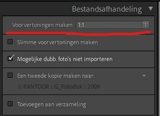 Lightroom tip: sneller bewerken met 1:1 voorvertoningen