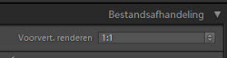 Lightroom Tip 1:1 Voorvertoningen