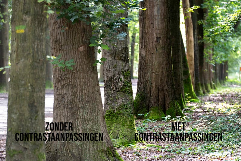 Vergelijking van natuurfoto zonder en met contrastaanpassingen in Lightroom, met bomen in een bosrijk gebied