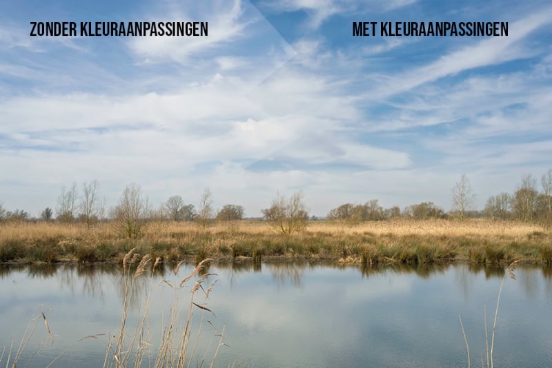 Vergelijking natuurfoto zonder en met kleuraanpassingen in Lightroom voor meer levendige resultaten