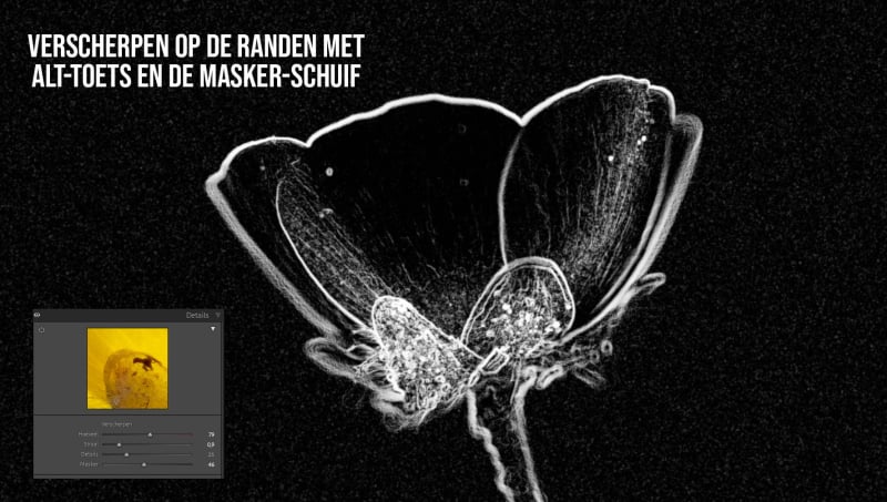 Lightroom-verscherping toegepast op randen van natuurfoto met behulp van Alt-toets en maskerinstelling