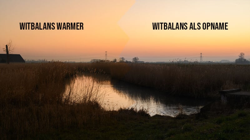 Vergelijking van witbalansinstellingen in natuurfotografie: originele opname versus warmere witbalans in Lightroom