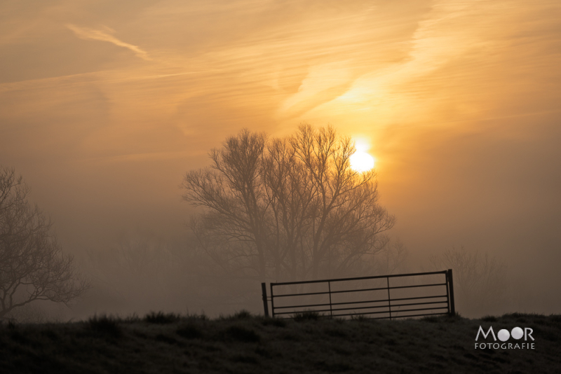 Mist Fotograferen? Zo Maak Je Betoverende Beelden!