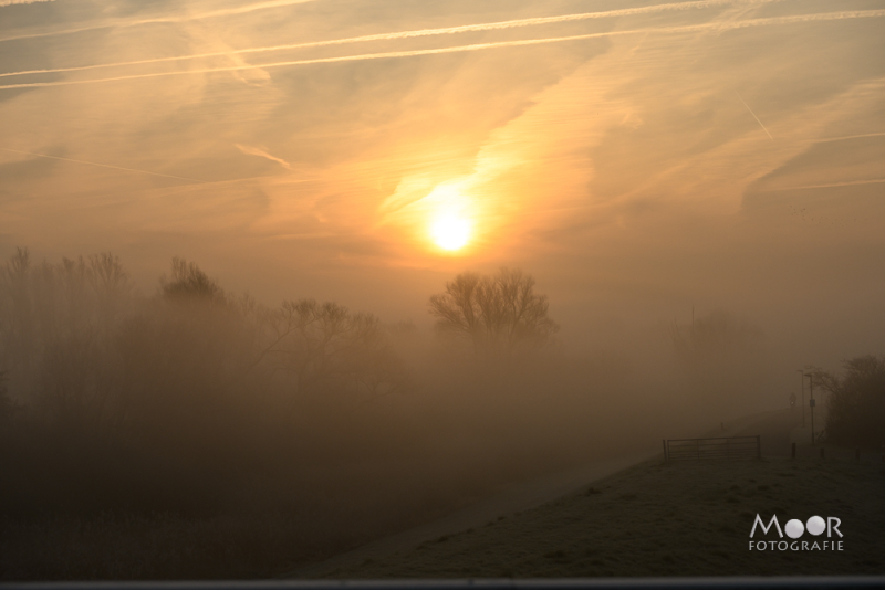 Mist Fotograferen? Zo Maak Je Betoverende Beelden!