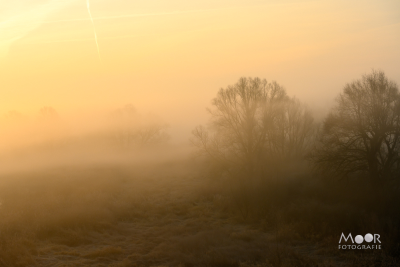 Mist Fotograferen? Zo Maak Je Betoverende Beelden!