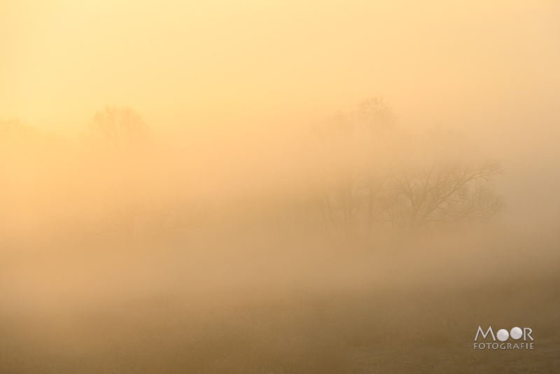 Mist Fotograferen? Zo Maak Je Betoverende Beelden!