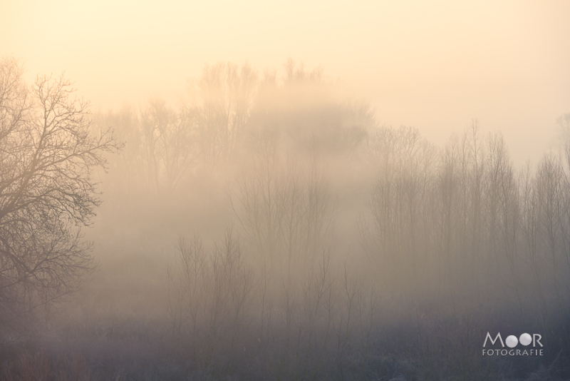 Mist Fotograferen? Zo Maak Je Betoverende Beelden!