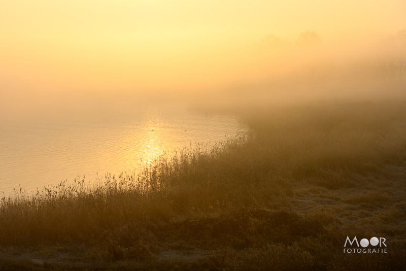 Mist Fotograferen? Zo Maak Je Betoverende Beelden!