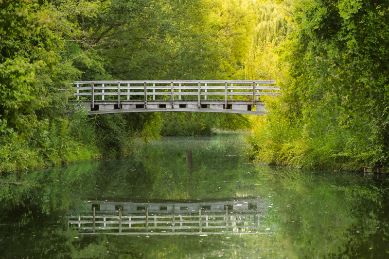 Een serene bosscène met een witte houten brug over een stilstaand beekje, perfect weerspiegeld in het water. De symmetrische compositie en het zachte groene licht zorgen voor een rustgevend beeld met een natuurlijke horizon.