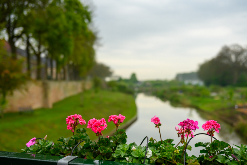 Compositie met kleurrijke bloemen op de voorgrond en een rivier die diagonaal door het beeld slingert. Door de geringe scherptediepte komt het contrast tussen scherpte en zachte achtergrond extra goed tot zijn recht.