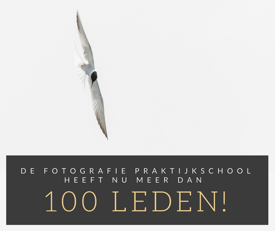 Moor Fotografie Praktijkschool heeft meer dan 100 leden die zich online en offline inzetten om hun fotografie te verbeteren.