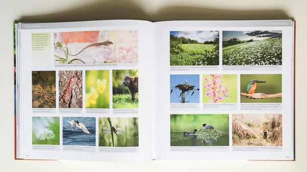 Review Praktijkboek Natuurfotografie Jaarrond van PiXfactory