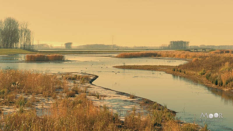 Rondje Biesbosch in de Herfst