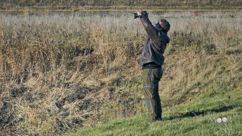 Rondje Biesbosch in de Herfst