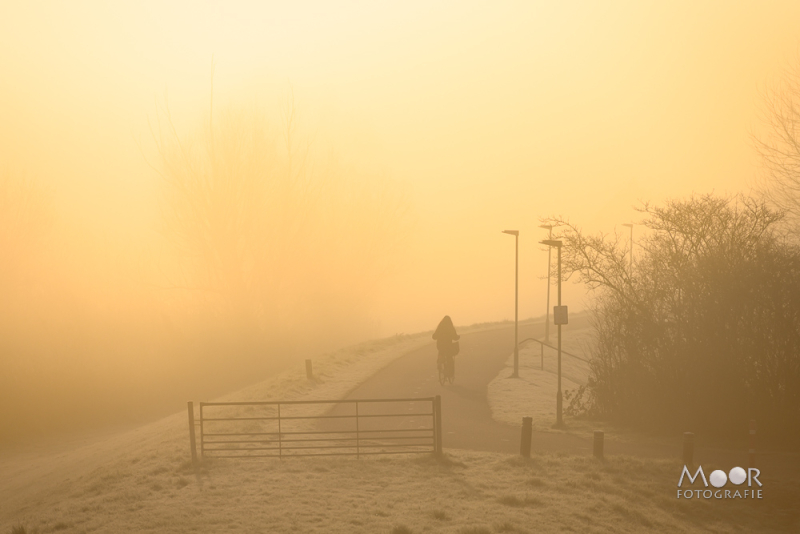 Silhouet van een persoon op een mistig pad tijdens zonsopkomst met zacht gouden licht en winterse