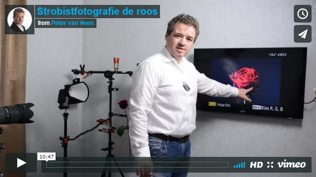 Roos fotograferen met los flitslicht Rode roos tegen een zwarte achtergrond, als voorbeeld van strobistfotografie met een flitser los van de camera.