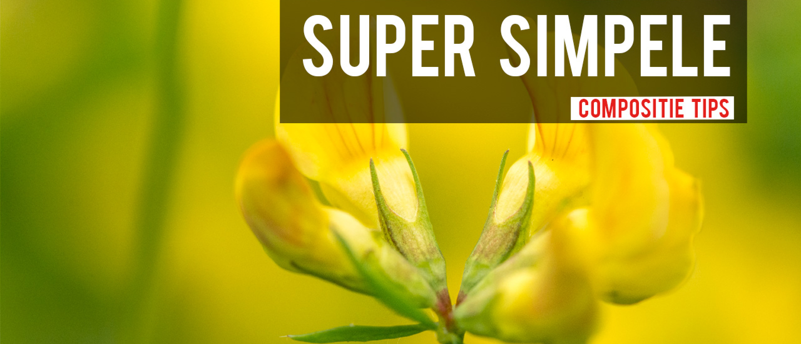 Super Simpele Compositie Tips