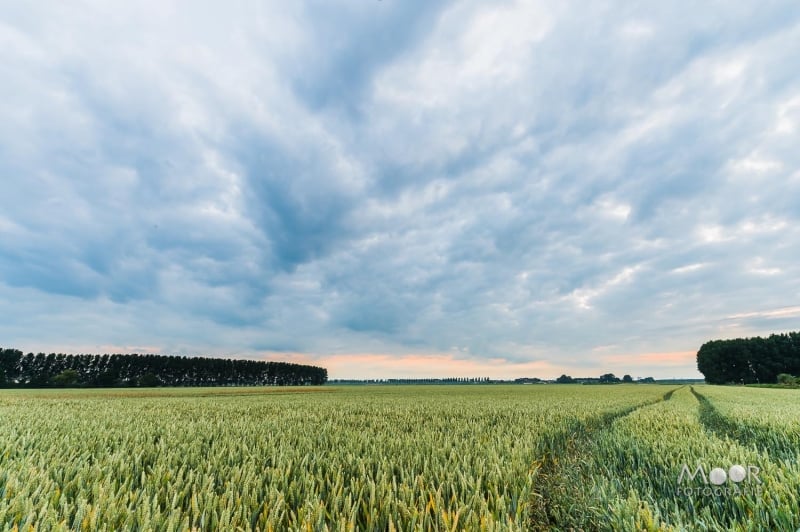 Zonsopkomst fotograferen: mijn avontuur met de Nikon D4