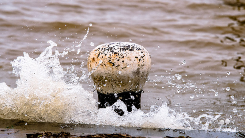 Beweging in water vastleggen met korte sluitertijd – voorbeeld van bevroren spetters rond een meerpaal in natuurfotografie.