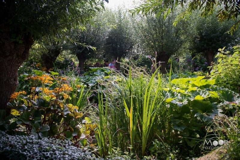 Een dag in de Tuinen van Appeltern: Fotografie en natuur in perfecte harmonie