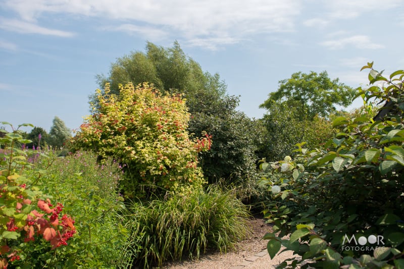 Een dag in de Tuinen van Appeltern: Fotografie en natuur in perfecte harmonie