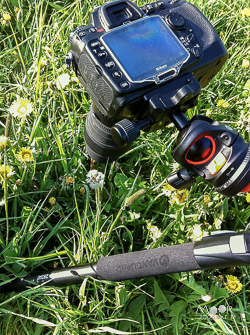 Wat is macrofotografie - een vaste hand of toch het statief