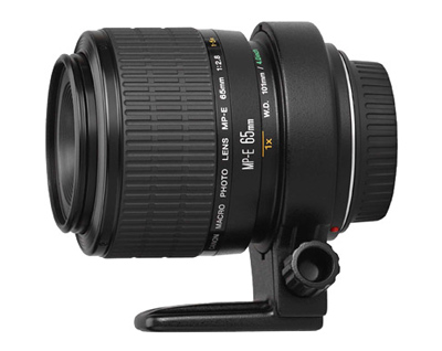 Wat is macrofotografie - Canon MP-E65
