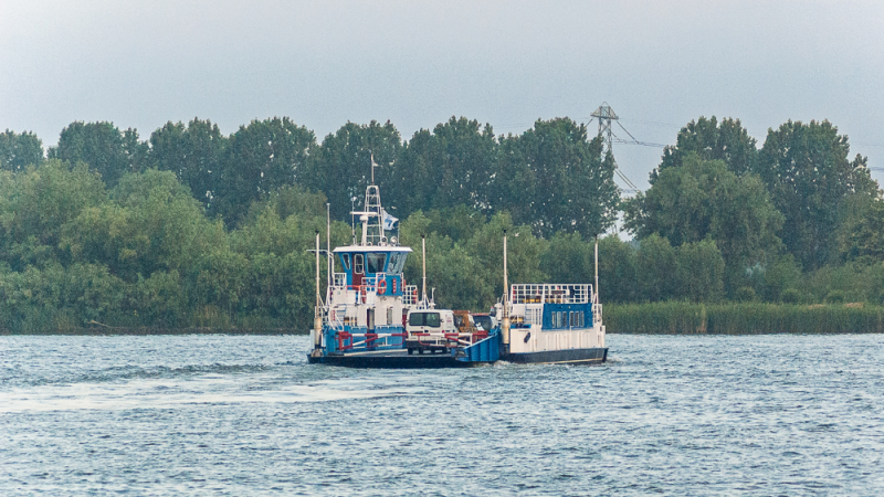 Een blauwe en witte veerpont vervoert auto's en fietsers over een brede rivier, met een achtergrond van groene bomen en een grijze lucht. De lichte golfjes in het water verraden de rustige beweging van de overtocht.