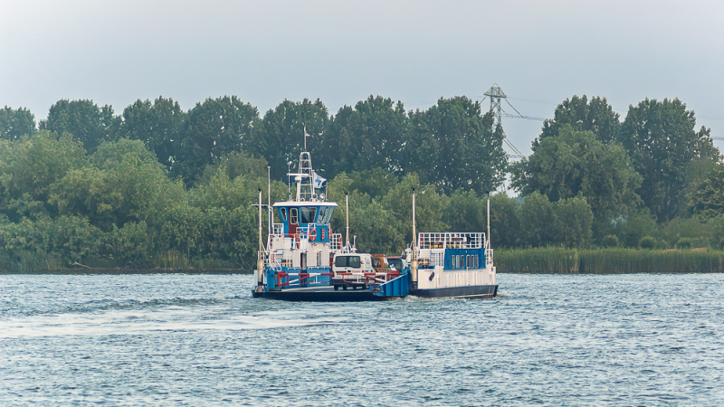 Een blauwe en witte veerpont vervoert auto's en fietsers over een brede rivier, met een achtergrond van groene bomen en een grijze lucht. De lichte golfjes in het water verraden de rustige beweging van de overtocht.