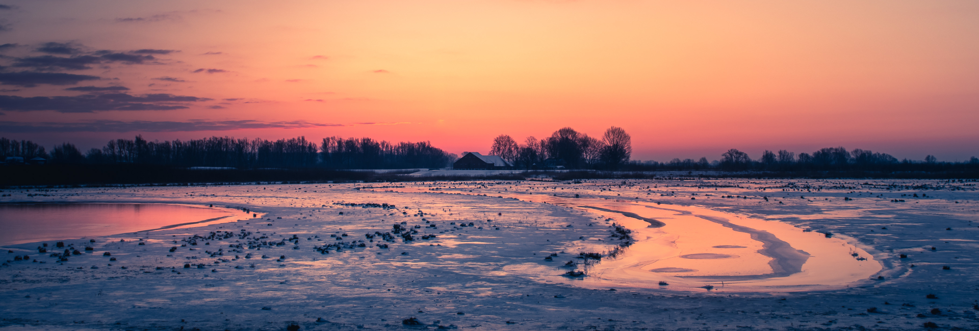 Winterfoto uit de Biesbosch