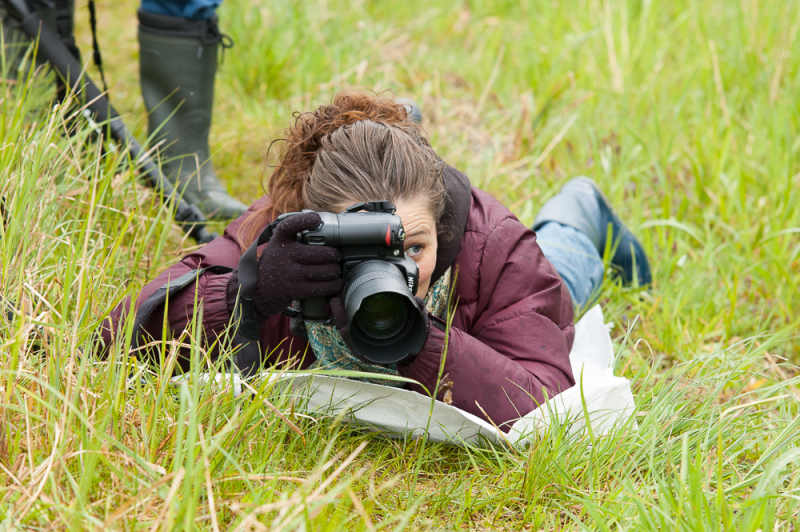Wat Je Leert Tijdens een Macrofotografie Workshop