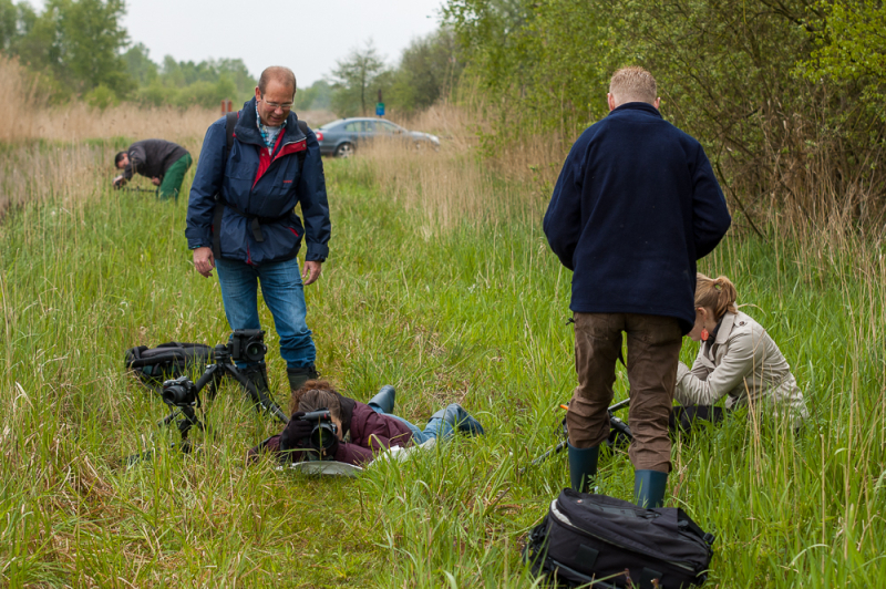Wat Je Leert Tijdens een Macrofotografie Workshop