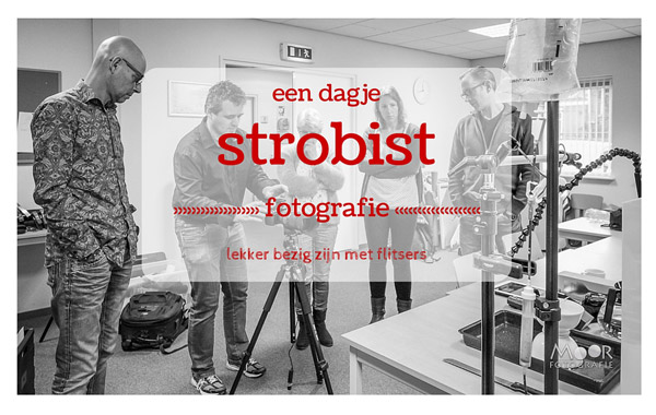 Een dagje workshop Strobistfotografie voor Beginners