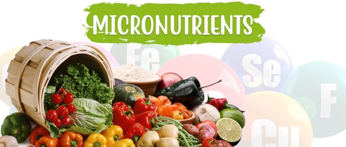 Wat is een micronutriënt
