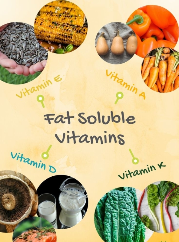 vet oplosbare vitaminen