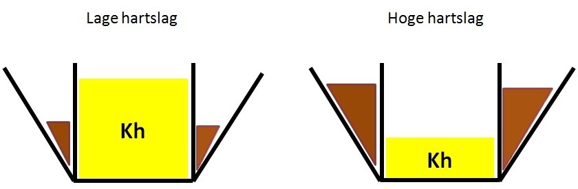 vetverbranding en hartslag laag vs hoog vetverbranding en hartslag laag vs hoog