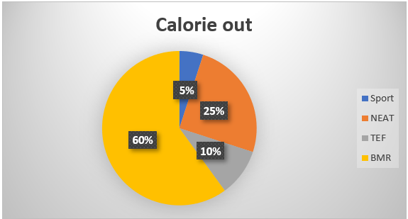 Verdeling calorie out