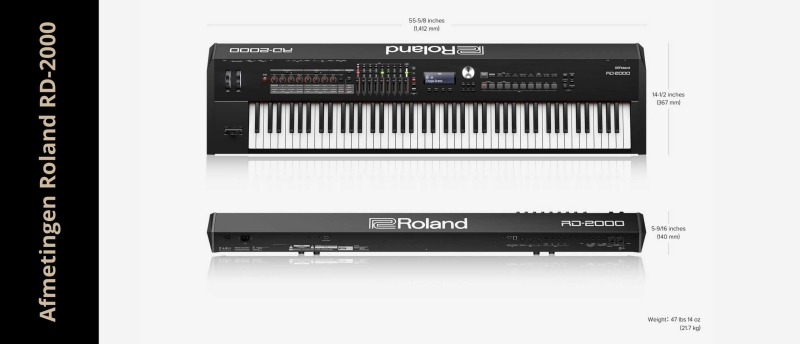 Afmetingen van de Roland RD-2000 Stage Piano