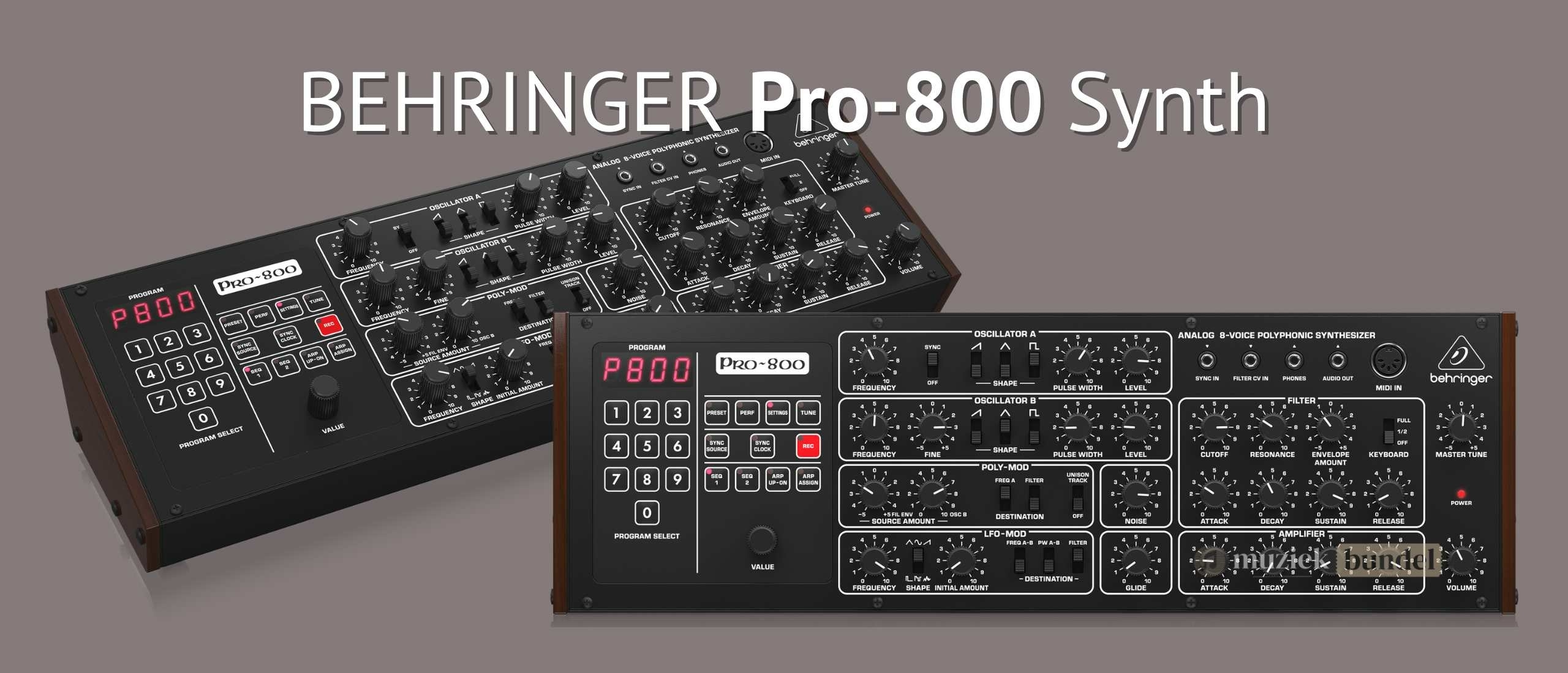 Behringer Pro-800 Review – Analoge krachtpatser voor een betaalbare prijs | Muziekbundel.nl