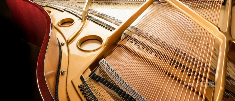 De klanken van een piano | Muziekbundel.nl De klanken van een piano | Muziekbundel.nl