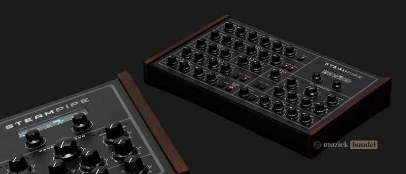 Ontdek de belangrijkste kenmerken van de Erica Synths Steampipe, een fysiek modellerende synthesizer met 8-stemmige polyfonie en expressieve klank.