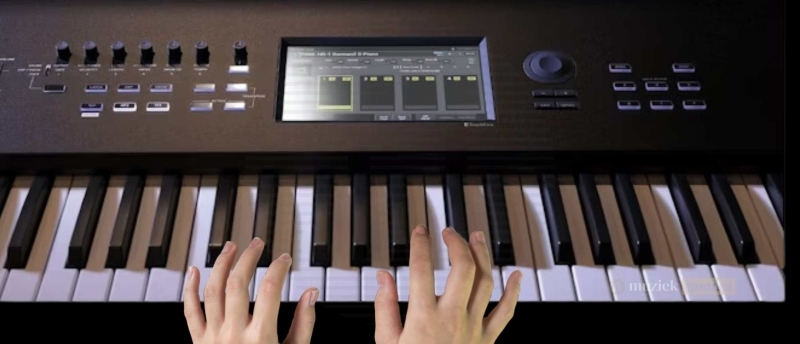 Geschiktheid van de Korg Nautilus 61 toetsen workstation voor beginners en ervaren gebruikers?